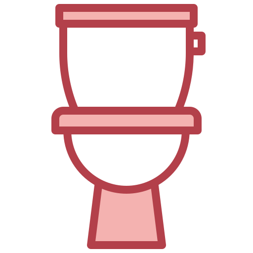 Remplacement de WC